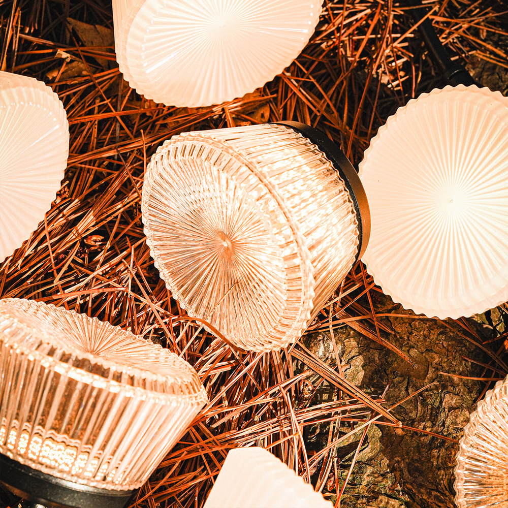 (預購) CARGO SHINE 7串燈