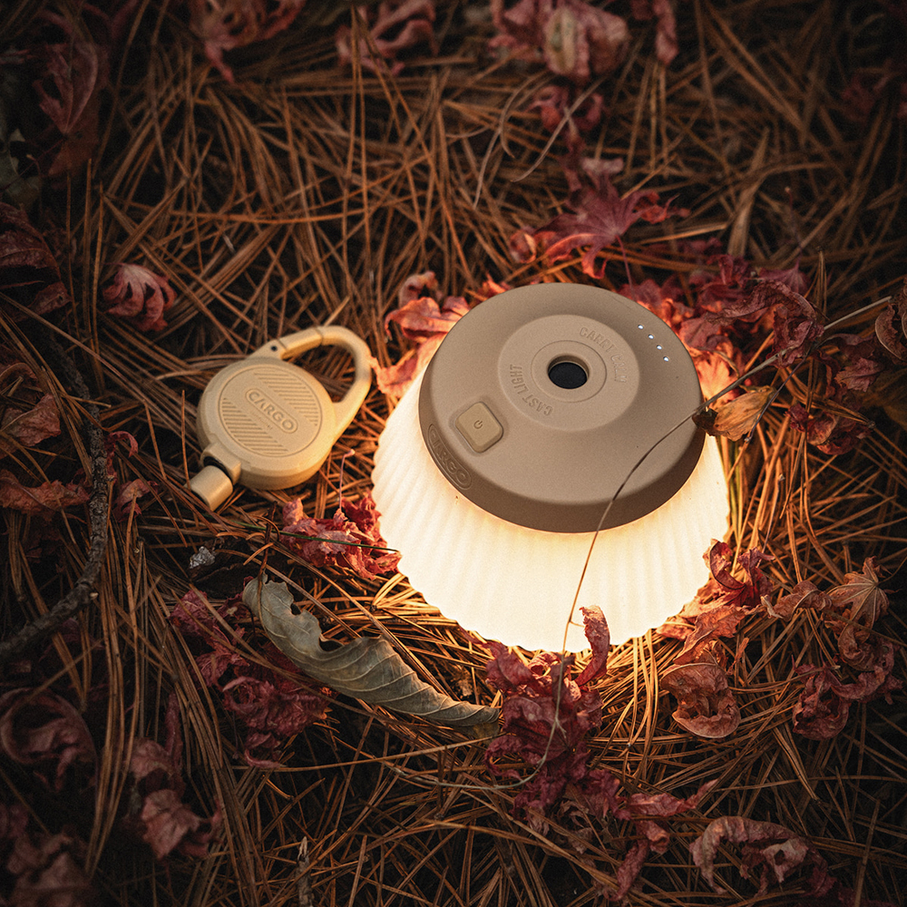 (預購)CARGO REEL LIGHT PRO LED燈